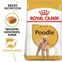 ROYAL CANIN Poodle Adult 1,5kg