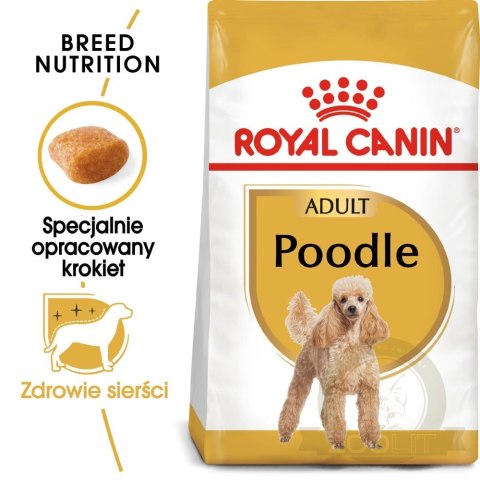 ROYAL CANIN Poodle Adult 1,5kg ROYAL CANIN Poodle Adult 1,5kg