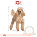 ROYAL CANIN Poodle Adult 1,5kg