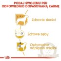ROYAL CANIN Poodle Adult 1,5kg