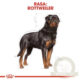 ROYAL CANIN Rottweiler Adult 12kg