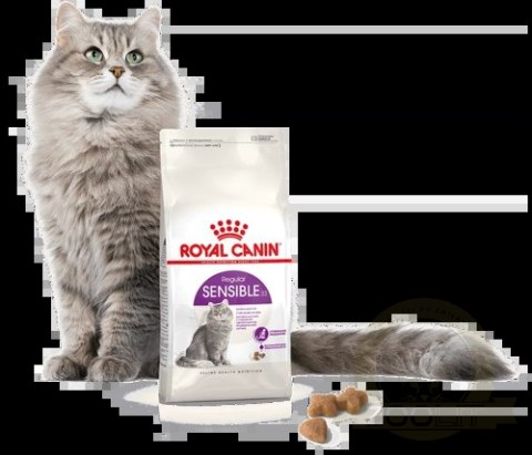 ROYAL CANIN Sensible 33 10kg ROYAL CANIN Sensible 33 10kg