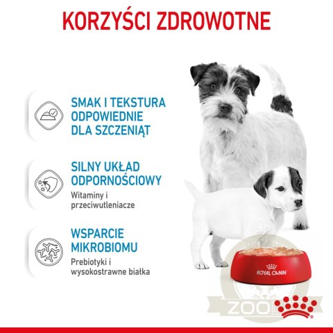 ROYAL CANIN Starter Mousse Mother & Babydog 195g ROYAL CANIN Starter Mousse Mother & Babydog 195g