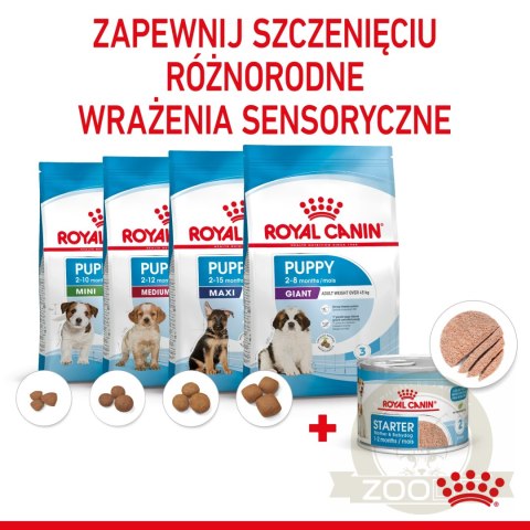 ROYAL CANIN Starter Mousse Mother & Babydog 195g ROYAL CANIN Starter Mousse Mother & Babydog 195g