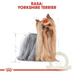 ROYAL CANIN Yorkshire Terrier Adult 3kg