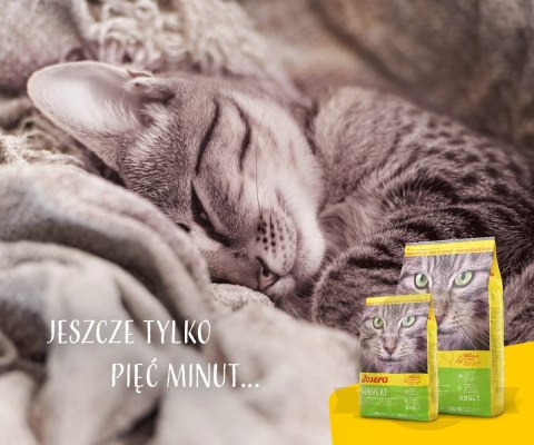 Josera SensiCat 10kg Josera SensiCat 10kg