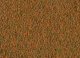 Tetra Wafer Mini Mix 100ml