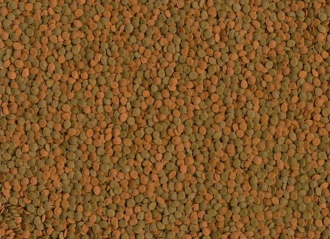 Tetra Wafer Mini Mix 100ml Tetra Wafer Mini Mix 100ml