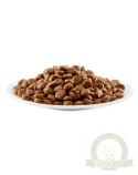 APPLAWS Complete Dry Adult Chicken 2kg