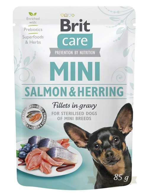 Brit Care Mini Filety W Sosie Z Łososia I Śledzia 85g Brit Care Mini Filety W Sosie Z Łososia I Śledzia 85g