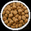 Hill's PD Prescription Diet Canine t/d Mini Dental Care Kurczak 3kg