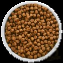 Hill's PD Prescription Diet Feline s/d 1,5kg