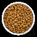 Hill's PD Prescription Diet Feline w/d Kurczak 1,5kg