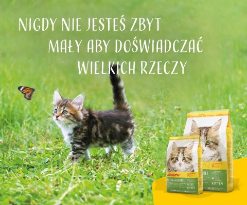Josera Kitten Grainfree 2kg Josera Kitten Grainfree 2kg
