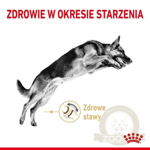 ROYAL CANIN German Shepherd Adult 5+ 12kg ROYAL CANIN German Shepherd Adult 5+ 12kg