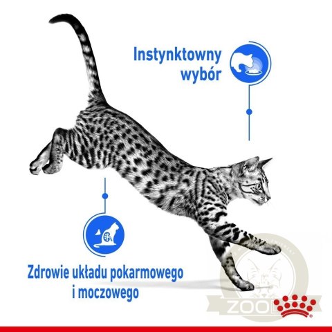 ROYAL CANIN Indoor Sterilised Sos 12x85g ROYAL CANIN Indoor Sterilised Sos 12x85g