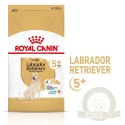 ROYAL CANIN Labrador Retriever Adult 5+ 12kg