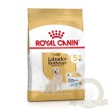 ROYAL CANIN Labrador Retriever Adult 5+ 12kg