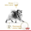 ROYAL CANIN Pomeranian 12x85g
