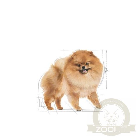ROYAL CANIN Pomeranian 12x85g ROYAL CANIN Pomeranian 12x85g