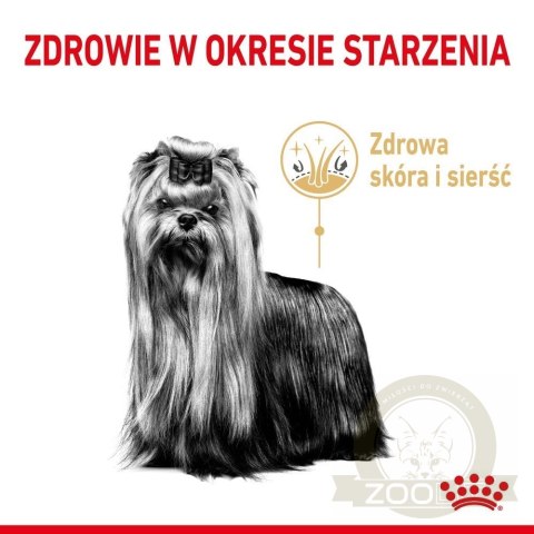 ROYAL CANIN Yorkshire Terrier Adult 8+ 3kg ROYAL CANIN Yorkshire Terrier Adult 8+ 3kg