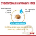ROYAL CANIN Yorkshire Terrier Adult 8+ 3kg