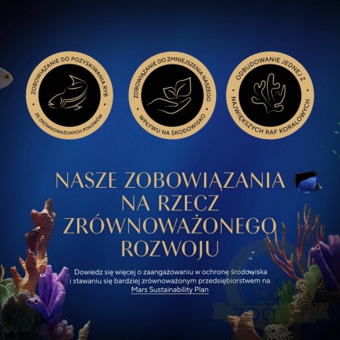Sheba Classics Z Łososiem 85g Sheba Classics Z Łososiem 85g