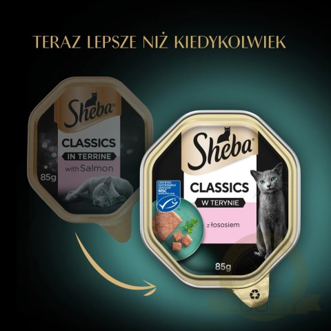 Sheba Classics Z Łososiem 85g Sheba Classics Z Łososiem 85g