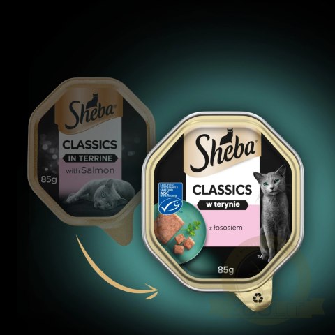 Sheba Classics Z Łososiem 85g Sheba Classics Z Łososiem 85g
