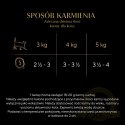 Sheba Classics Z Łososiem 85g