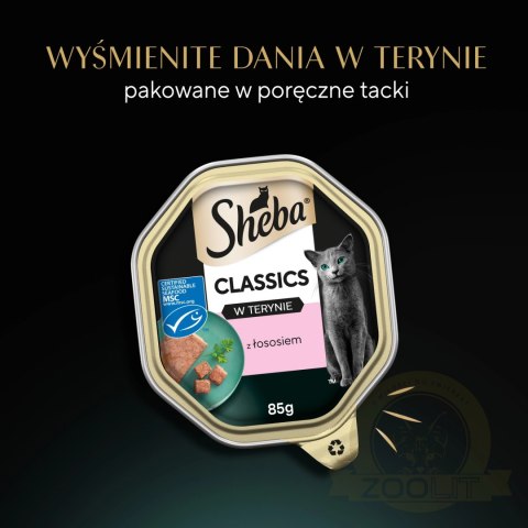Sheba Classics Z Łososiem 85g Sheba Classics Z Łososiem 85g