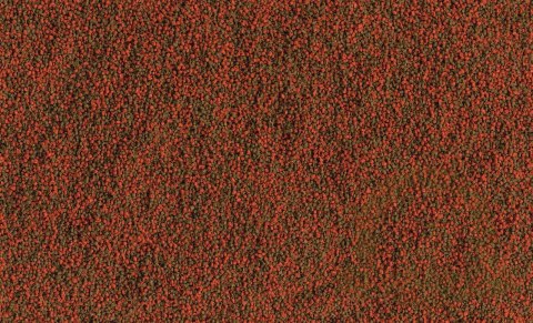 Tetra Cichlid Granules 500ml Tetra Cichlid Granules 500ml