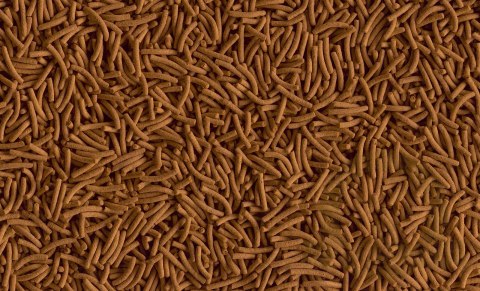Tetra Cichlid XL Sticks 500ml Tetra Cichlid XL Sticks 500ml