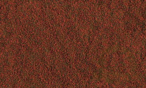 Tetra Cichlid Mini Granules 250ml