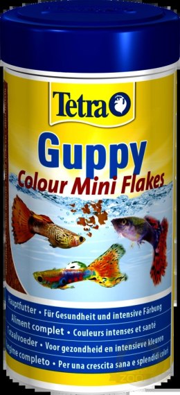 Tetra Guppy Colour 250ml