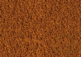 Tetra Pond Koi ColourandGrowth Sticks 1l