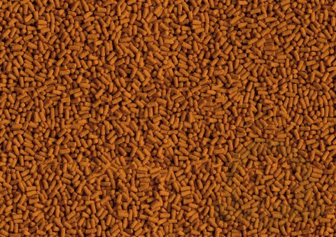 Tetra Pond Koi ColourandGrowth Sticks 1l Tetra Pond Koi ColourandGrowth Sticks 1l