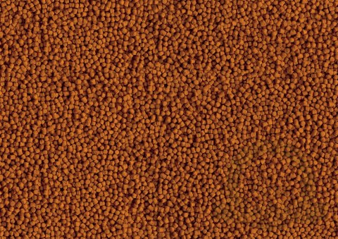Tetra Pond Koi Mini Sticks 1l Tetra Pond Koi Mini Sticks 1l