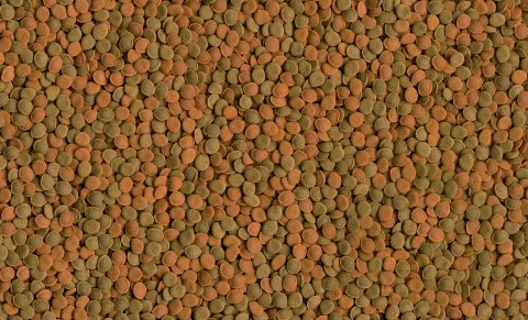 Tetra Wafer Mix 1000ml Tetra Wafer Mix 1000ml