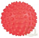 Trixie Piłka Z Wypustkami 16cm