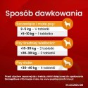 Vet-Agro InPar Tabletki Odrobaczające Dla Psa 6szt
