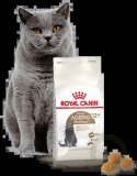 ROYAL CANIN Ageing Sterilised +12 400g