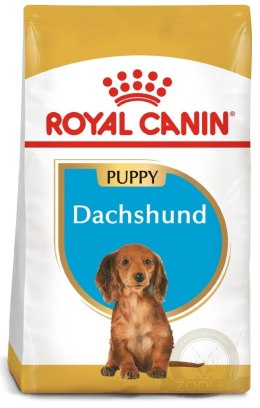 ROYAL CANIN Dachshund Puppy 1,5kg