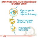 ROYAL CANIN Dachshund Puppy 1,5kg