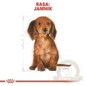 ROYAL CANIN Dachshund Puppy 1,5kg