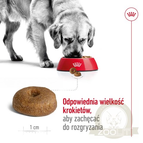 ROYAL CANIN Maxi Ageing 8+ 15kg ROYAL CANIN Maxi Ageing 8+ 15kg