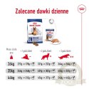 ROYAL CANIN Maxi Ageing 8+ 15kg
