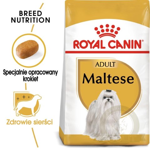 ROYAL CANIN Maltese Adult 500g ROYAL CANIN Maltese Adult 500g