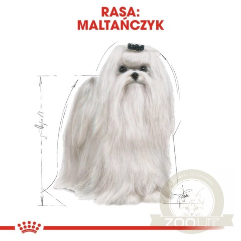 ROYAL CANIN Maltese Adult 500g ROYAL CANIN Maltese Adult 500g