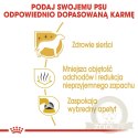 ROYAL CANIN Maltese Adult 500g